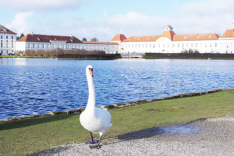 Die ehemalige Sommerresidenz der Wittelsbacher und Wohnsitz Herzog Franz von Bayerns: Schloss Nymphenburg in München