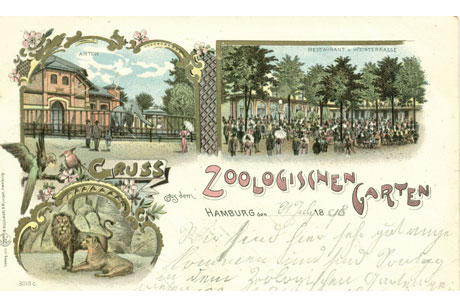 Grüße aus dem Zoo: Postkarte von 1908 (c) Archiv stahlpress