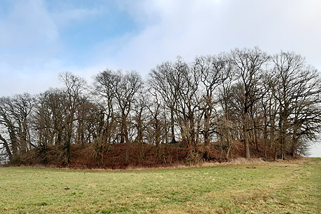 Ringwall der Obodriten am Oldenburg-See bei Lehmrade/Herzogtum Lauenburg, (c) Foto: Olaf Witt