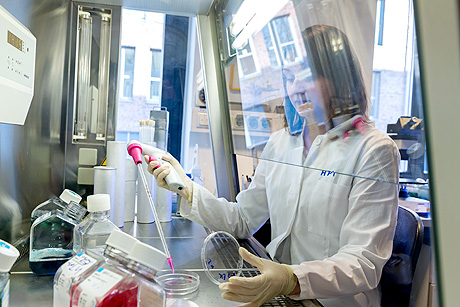 Eine Wissenschaftlerin des HPI bei der Arbeit an der Sterilbank