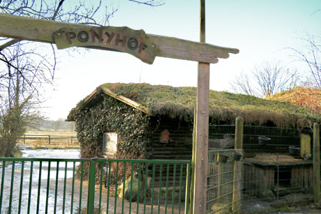 Der Ponyhof mit angeschlossener Waldschänke
