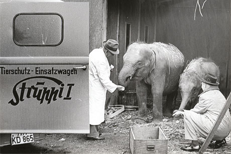 Tierrettungswagen Struppi 1