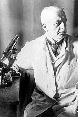 Prof. Dr. Bernhard Nocht im Jahr 1925 am Mikroskop