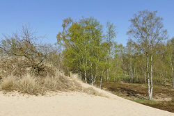 Boberger Niederung (Wikimedia Commons © Puusterke) Boberger Niederung (Wikimedia Commons © Puusterke)