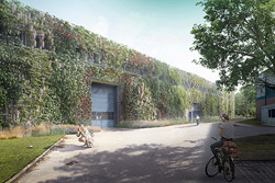Fassadenbegrünungsvisualisierung des DESY-Forschungscampus, Foto: BUKEA © L+ Landschaftsarchitektur, Visualisierung: luminousfields Fassadenbegrünungsvisualisierung des DESY-Forschungscampus, Foto: BUKEA © L+ Landschaftsarchitektur, Visualisierung: luminousfields