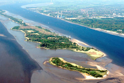 Die Tideelbe - Lebensraum des Stintes, Foto: © HPA Die Tideelbe - Lebensraum des Stintes, Foto: © HPA