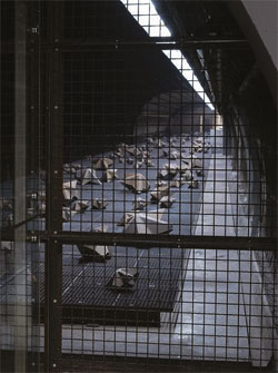 Das Kunstwerk Firmament in der U- Bahn-Station Hauptbahnhof Nord. Foto: © Michael Pfisterer Das Kunstwerk Firmament in der U- Bahn-Station Hauptbahnhof Nord. Foto: © Michael Pfisterer