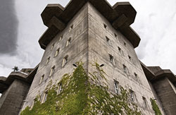 Dystopie in Grau-Gr&uuml;n